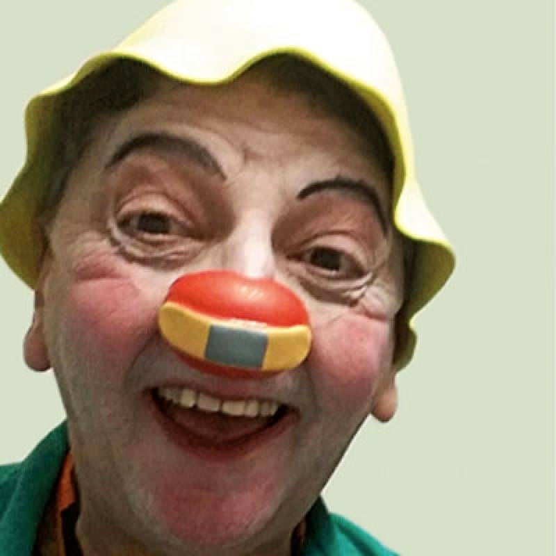 Clown Curso para Idosos Orçamento Parque Novo Mundo - Clown Curso para Idosos